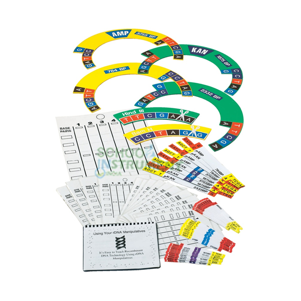 DNA Manipulatives Kit